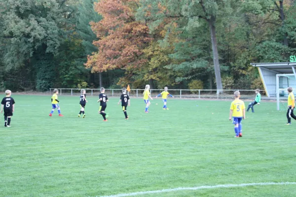 19.10.2018 JSG Heidekicker II vs. VfB Gräfenhainichen