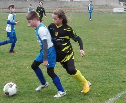 31.03.2019 SV Pouch/Rösa vs. JSG Heidekicker II