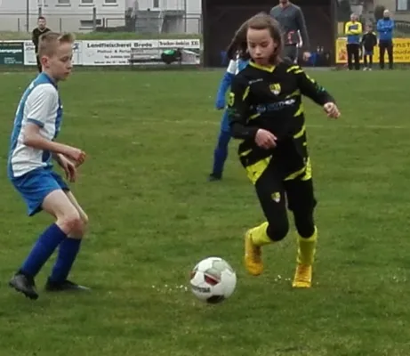 31.03.2019 SV Pouch/Rösa vs. JSG Heidekicker II