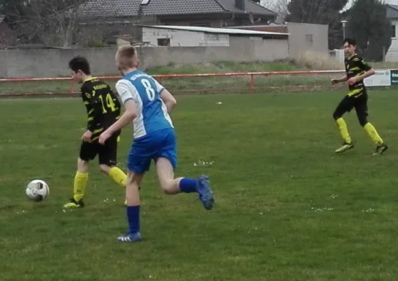 31.03.2019 SV Pouch/Rösa vs. JSG Heidekicker II
