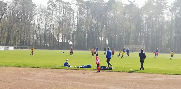 06.04.2019 JSG Heidekicker vs. VfB Gräfenhainichen II
