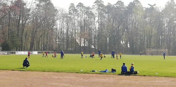06.04.2019 JSG Heidekicker vs. VfB Gräfenhainichen II