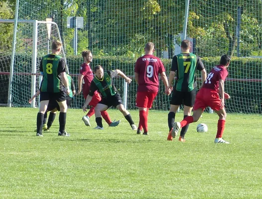 21.09.2019 Einheit Wittenberg vs. SV Hellas 09