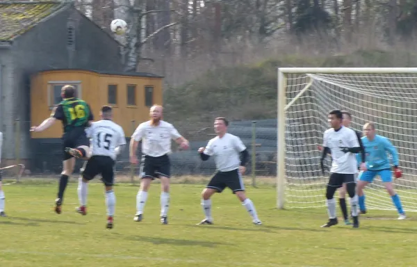 15.02.2020 SV Wartenburg vs. SG Heidekicker II