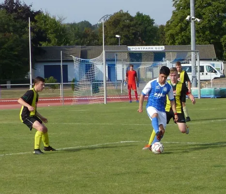 01.09.2019 Bitterfeld-Wolfen vs. JSG Heidekicker