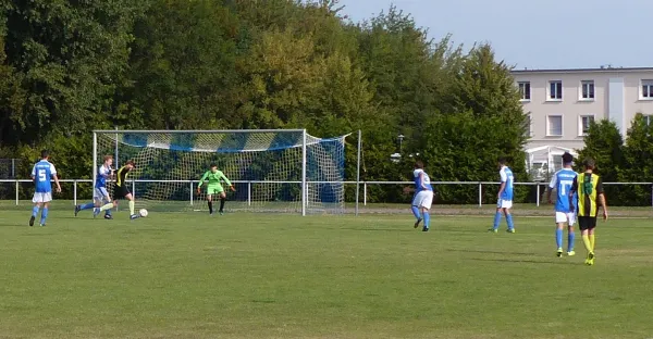 01.09.2019 Bitterfeld-Wolfen vs. JSG Heidekicker