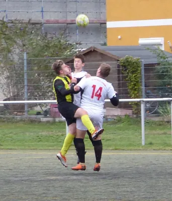 29.09.2019 TSV Rot-Weiß Zerbst vs. JSG Heidekicker