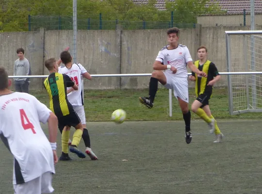 29.09.2019 TSV Rot-Weiß Zerbst vs. JSG Heidekicker