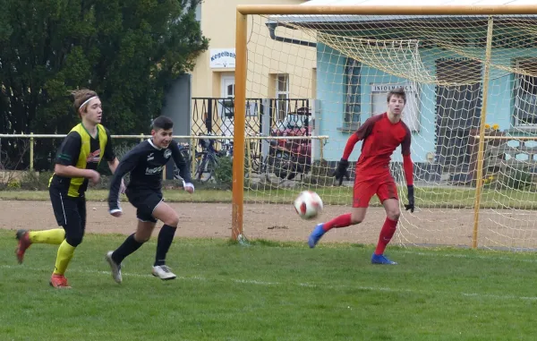 07.03.2020 JSG Heidekicker vs. Bitterfeld-Wolfen