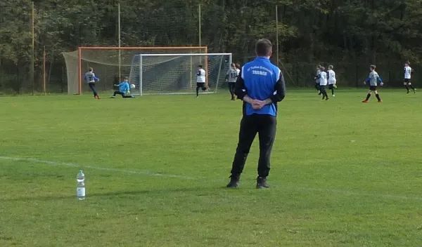 03.11.2019 JSG Heidekicker vs. SG Jessen/Anna/Elste II