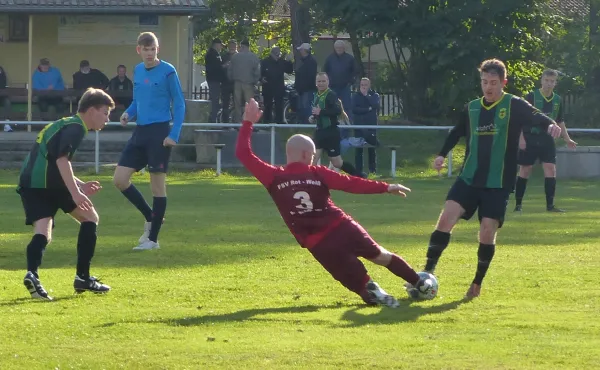 17.10.2020 FSV Bad Schmiedeberg vs. SV Hellas 09