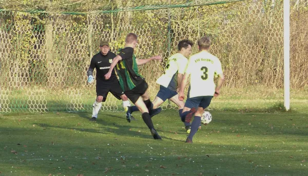 13.11.2021 ESV Bergwitz 05 e.V. vs. SV Hellas 09