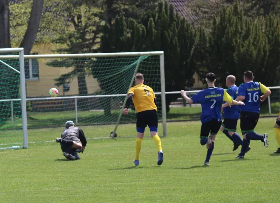 22.04.2023 VfB Gräfenhainichen II vs. SG Heidekicker II