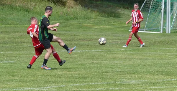 12.08.2023 TSV Mosigkau vs. SV Hellas 09
