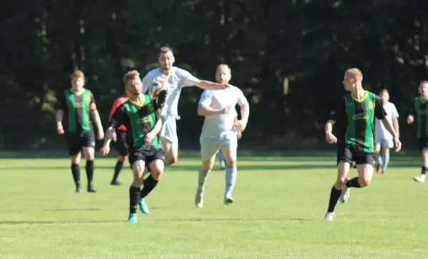 16.09.2023 SV Hellas 09 vs. Victoria Wittenberg