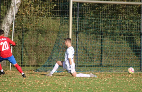 21.10.2023 SV Blau-Rot Pratau vs. SV Hellas 09