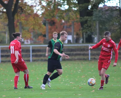 04.11.2023 SV Blau-Rot Coswig vs. SV Hellas 09