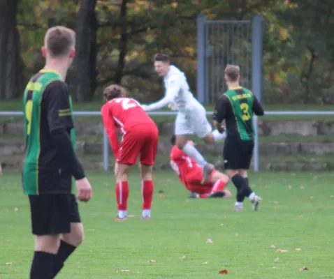 04.11.2023 SV Blau-Rot Coswig vs. SV Hellas 09