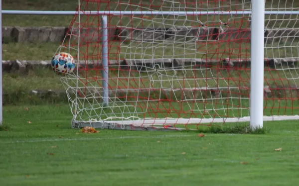 04.11.2023 SV Blau-Rot Coswig vs. SV Hellas 09