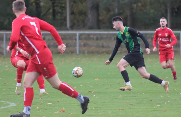 04.11.2023 SV Blau-Rot Coswig vs. SV Hellas 09