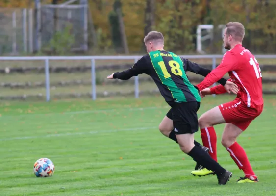 04.11.2023 SV Blau-Rot Coswig vs. SV Hellas 09