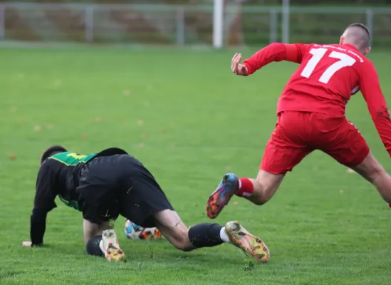 04.11.2023 SV Blau-Rot Coswig vs. SV Hellas 09