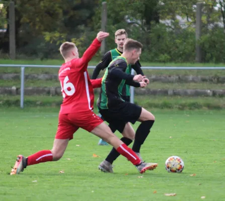 04.11.2023 SV Blau-Rot Coswig vs. SV Hellas 09