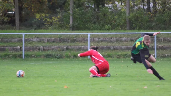 04.11.2023 SV Blau-Rot Coswig vs. SV Hellas 09