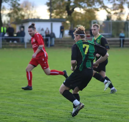 04.11.2023 SV Blau-Rot Coswig vs. SV Hellas 09