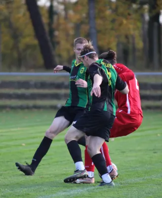 04.11.2023 SV Blau-Rot Coswig vs. SV Hellas 09