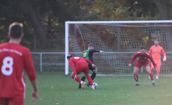 04.11.2023 SV Blau-Rot Coswig vs. SV Hellas 09