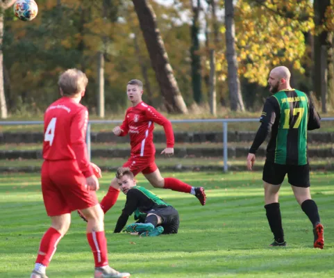 04.11.2023 SV Blau-Rot Coswig vs. SV Hellas 09