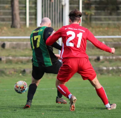 04.11.2023 SV Blau-Rot Coswig vs. SV Hellas 09