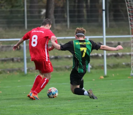 04.11.2023 SV Blau-Rot Coswig vs. SV Hellas 09