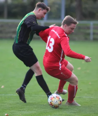 04.11.2023 SV Blau-Rot Coswig vs. SV Hellas 09