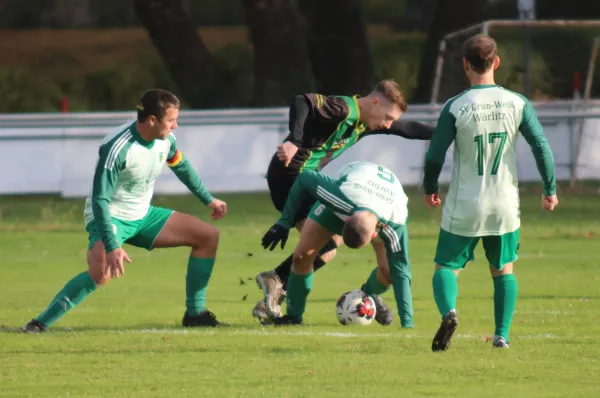 18.11.2023 Grün Weiß Wörlitz vs. SV Hellas 09