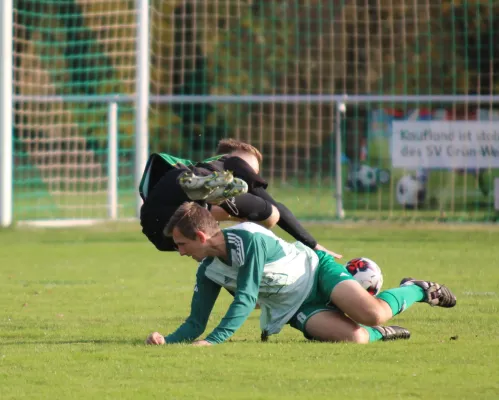 18.11.2023 Grün Weiß Wörlitz vs. SV Hellas 09