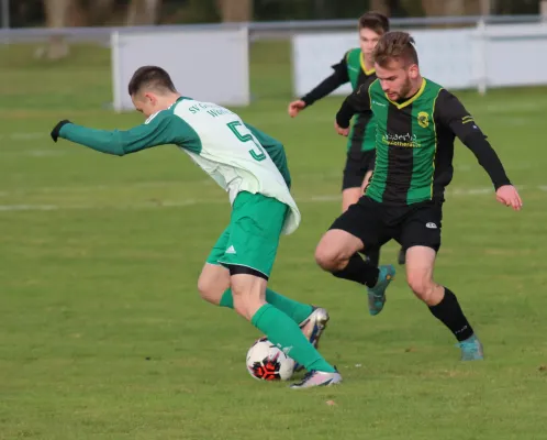 18.11.2023 Grün Weiß Wörlitz vs. SV Hellas 09