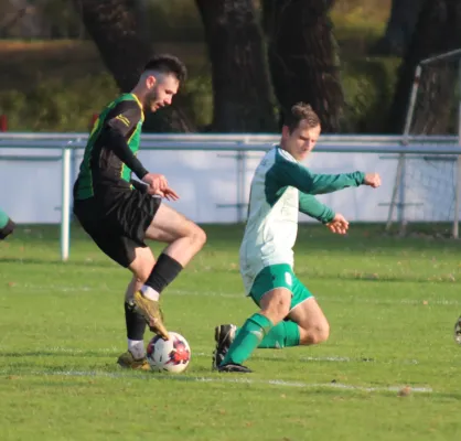 18.11.2023 Grün Weiß Wörlitz vs. SV Hellas 09