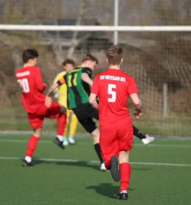 03.03.2024 SV Dessau 05 II vs. SV Hellas 09