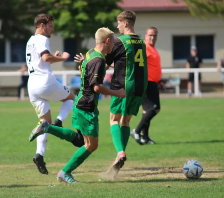 11.05.2024 SV Golpa vs. SV Hellas 09