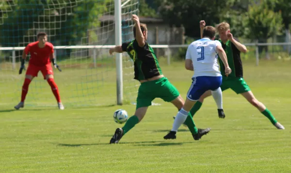 08.06.2024 SG 1919 Trebitz vs. SV Hellas 09