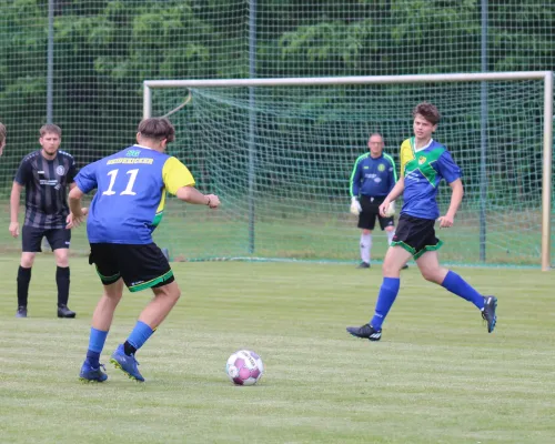 08.06.2024 SV Wartenburg vs. SG Heidekicker II
