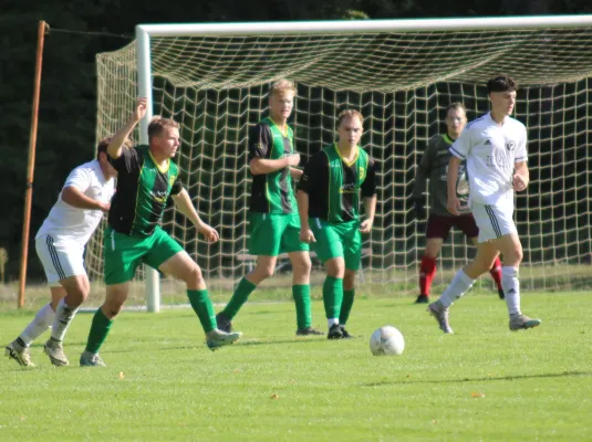 28.09.2024 SV Hellas 09 vs. VfB Zahna 1921 e.V.