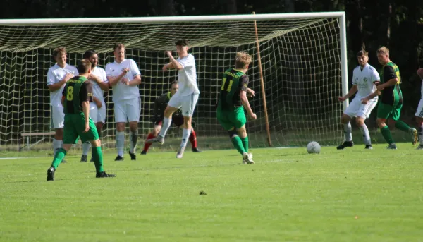 28.09.2024 SV Hellas 09 vs. VfB Zahna 1921 e.V.