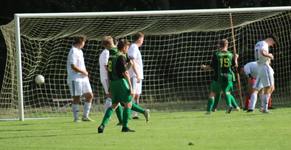 28.09.2024 SV Hellas 09 vs. VfB Zahna 1921 e.V.
