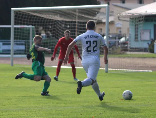 28.09.2024 SV Hellas 09 vs. VfB Zahna 1921 e.V.