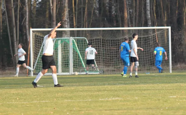 08.03.2025 SV Hellas 09 vs. VfB Gräfenhainichen II