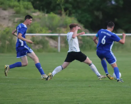 31.05.2025 SG 1919 Trebitz vs. SV Hellas 09