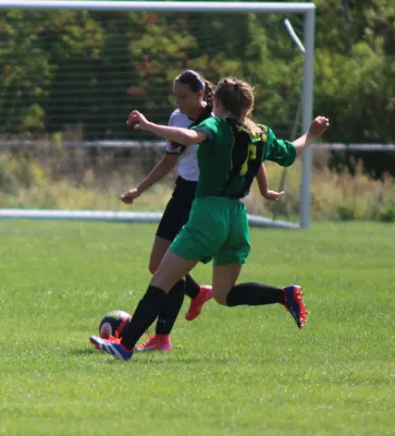 10.08.2025 SG Döllnitz vs. SV Hellas 09